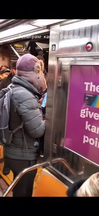 ������ �������: �������������� ������� �� ��� ����������� "������������ ������� �������", ���������� ������ ������ �������� �� ���� � ���-�������� �����