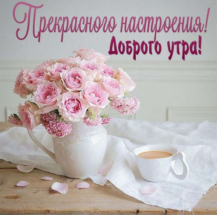 ������� �������: