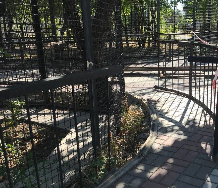 ���� �������� �� �������������� �������� �������� � ����