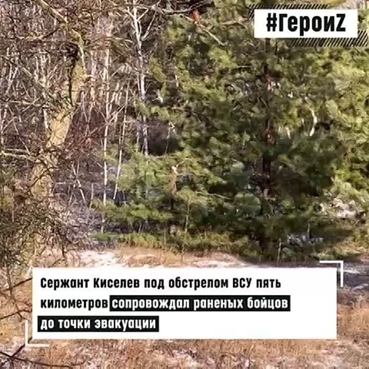 ������ ���� ����������