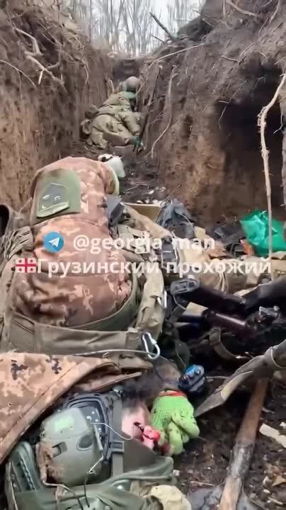 Юрий Котенок: Грузинские наёмники вперемешку с трупами пережидают огонь русской артиллерии