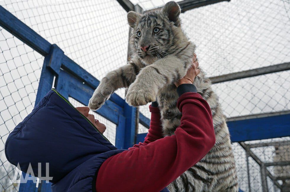 ������ �������� ������� �� ����������� ������ �� �������� ���������