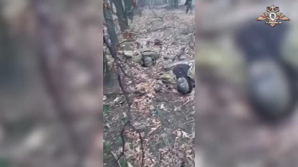 ���� �������������: ������� �������� � ����������� ����������� �������� ��������� ������
