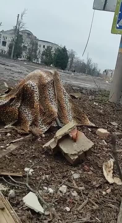 ��� ������� ������� �� ����� ������ ������� ����� ������� ������, ��������� � �����, �����, ����