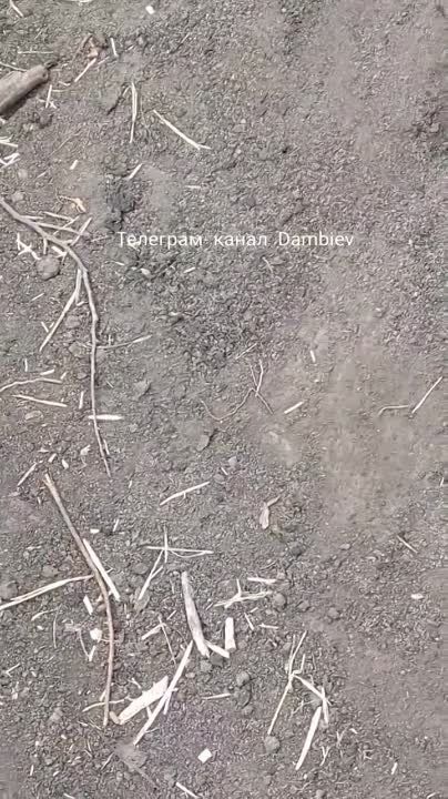 ������ �������: ������������ �� �� ���������� ������� �� ������� ��� ��� ����� ����������