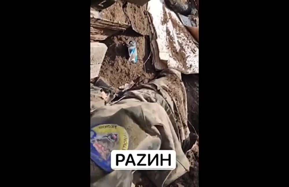 �������� �����: ��������� ������ ����� ���������� �� ���������� �����������