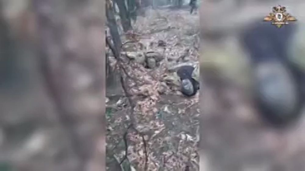 ���������� ������� �������� ������������� ������� ��� � ������������ ��������