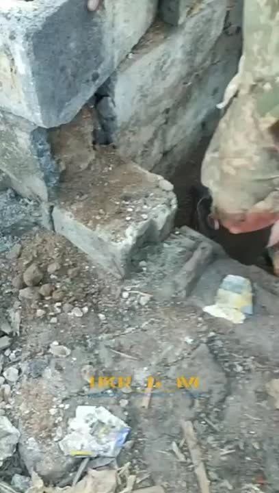 ���������� ������������ ���������� ����� �������� ����� ���� � ����������