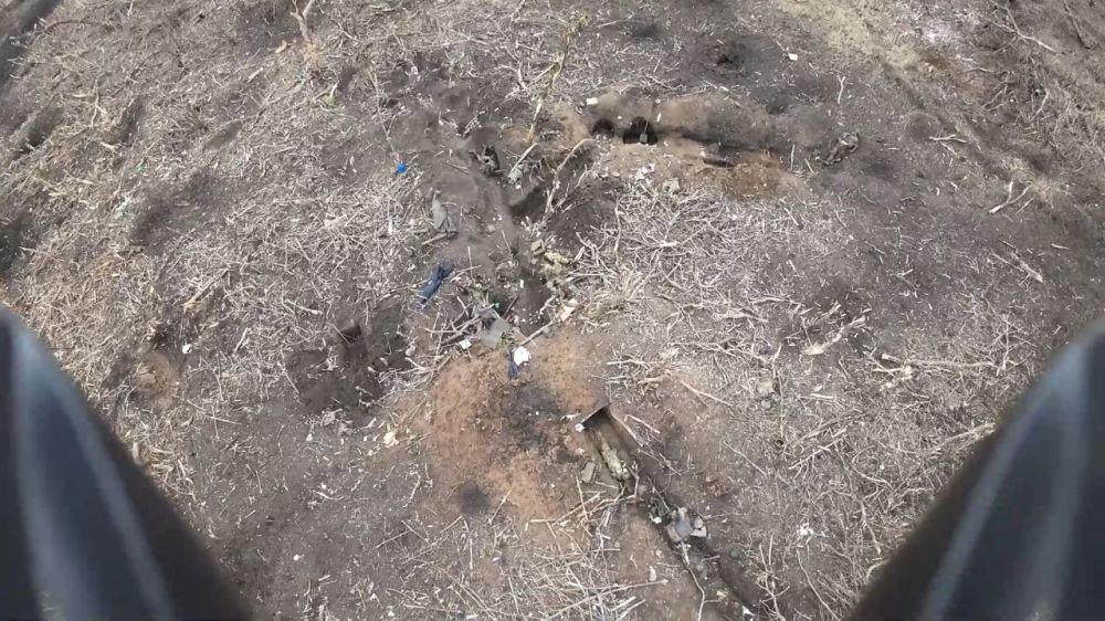 ������� ���������: ����� ������� �������� �� "������� � ����� ����������" ��� ���������