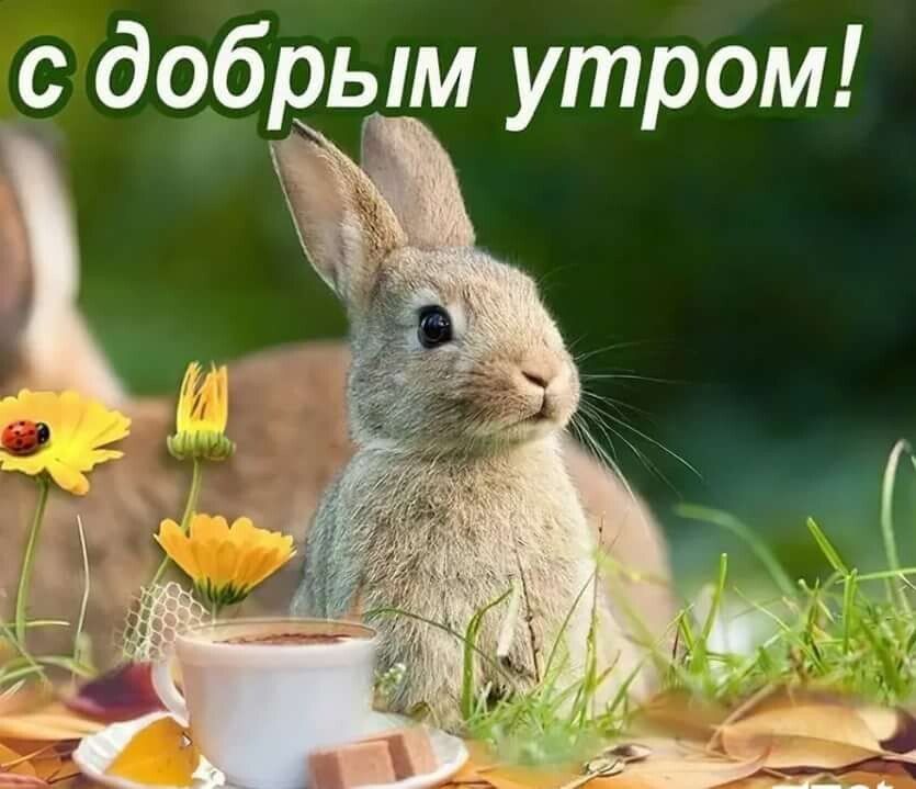�������� ���!. ����� ������������� ������������� ������