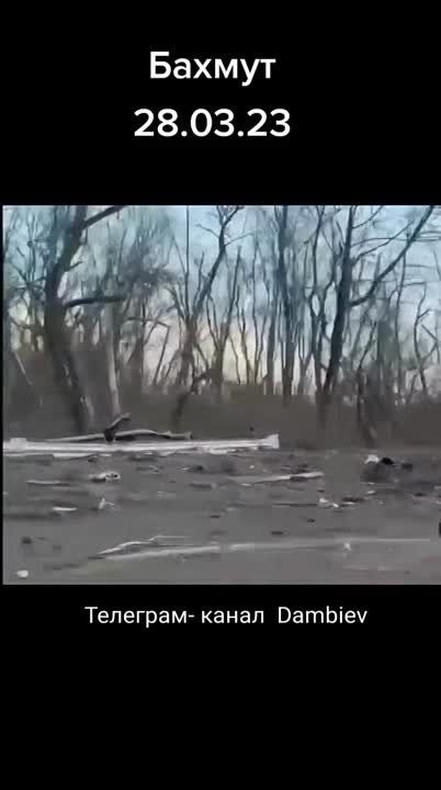 ������ �������: ���� �� ��������� ��������������� ����� �������� ����������� ����� � ���������, ������� ������������ ���������� ������ ��� ������� ����������� � ����� ����