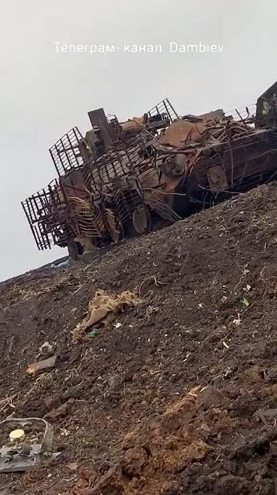 ������ �������: ������������ � ������ ���������� ��� �113 ������������� ������������ � ���-4� ���. C��� �� ������ ��� ������-������������, ���������� ������� �����