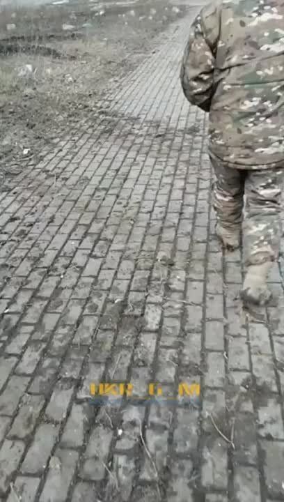 ���������� ������������ �������� �� ���������� � ����������