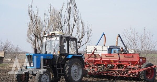 �������� �������� ������ ������� � ��� ��������� �� 35%