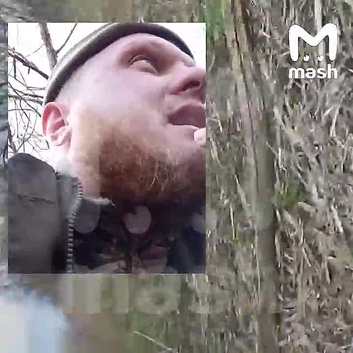 ���� ��������� ������ ���� � ������ ��������