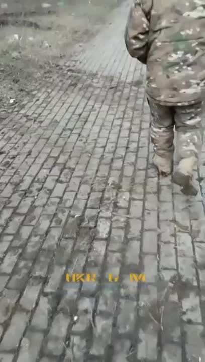 ���������� � ���������� (�������) �� ���������