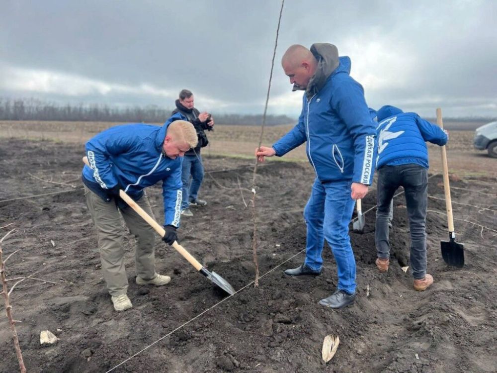 ������ ��� ��������� ����������� � ���������� ������������