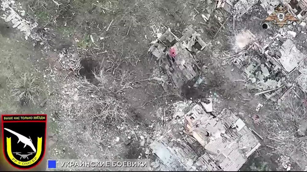 ����� ������ ���: ����� ������ �������� ������� ��� � ��������