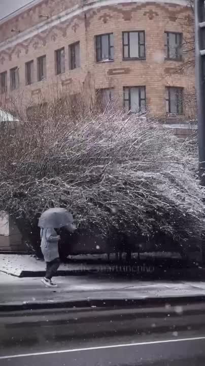 ����� � �������.