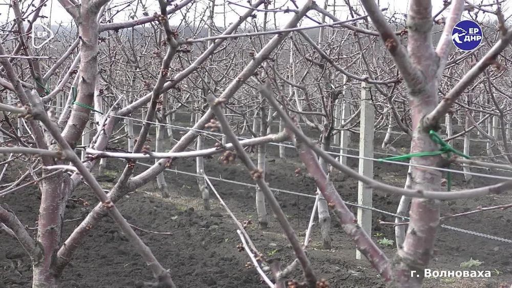 ������ ������ ��� ������� ����������