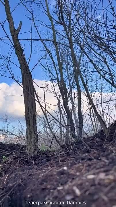 ������ �������: ������� ����������� ������� ���������� �����