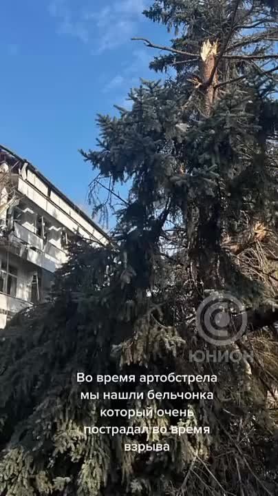 �������� ���������� ���������, ������������� �� �������� ���. �������� �������� ��������� � ������� ��������� ����� - �������� ���������, ��� � ������� ����� ��������, ��� ��, ��� ����� �����������