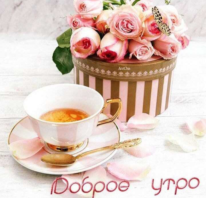������� �������: