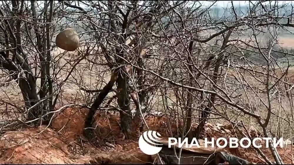 �������� �� ������ � ������ ��������� ����� ������� �������