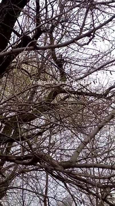 ������ �������: ������ ��������� ��-52 � ��-28� ��������� ������� ��� ������ � ���� ��������� �������� ����������