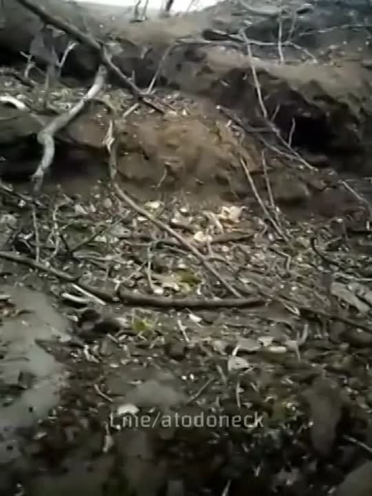 ������� � ���, ��� ���������� ���� � ������� � ��������� ���, ������� ������ ��� �� �����