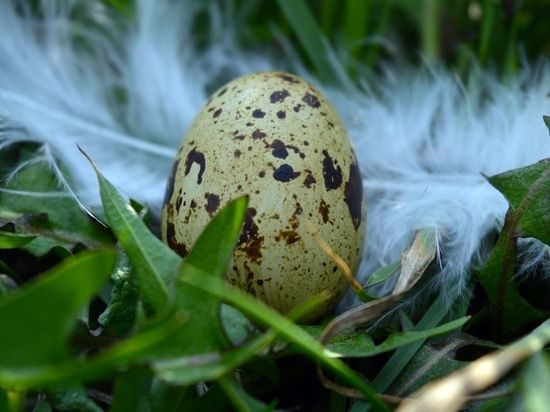 ������� ��������� ����������� ��� ����� ������