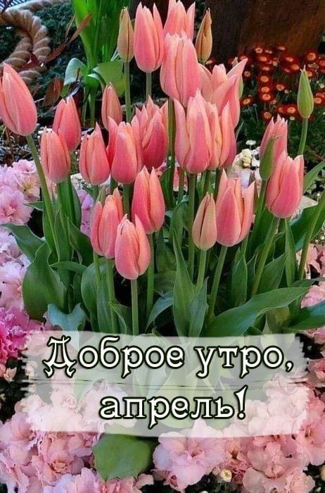 С добрым утром, дорогие юнокоммунаровцы!