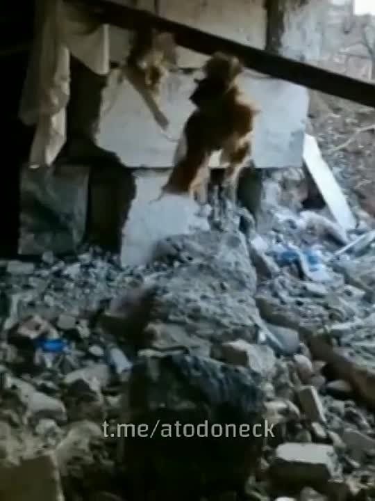���������� ����� � ��������� ���������� ���������� � ���������� ������ ����� ����������