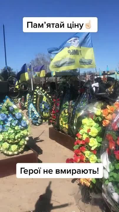 ������ �������: �������� ��������������� � ���� ���������� ��� ����������� �� 205-�� ��������� ���. C��� �� ������ ��� ������-����������������� ���������� ������� �����