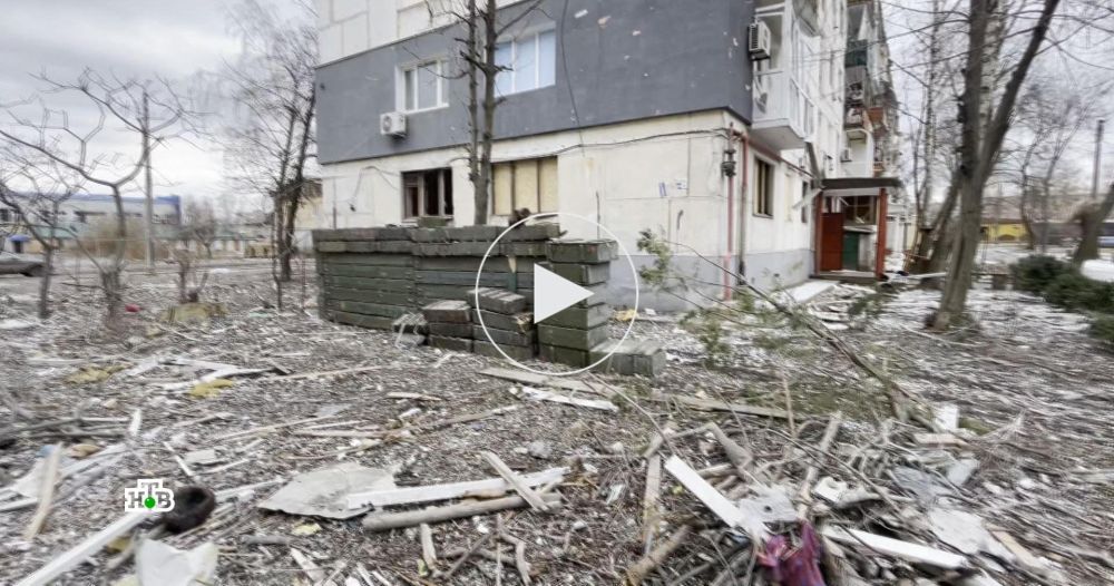 ���� ������ ���� �� �����: ���������� ����������� ����������� ���������� �������� ��������