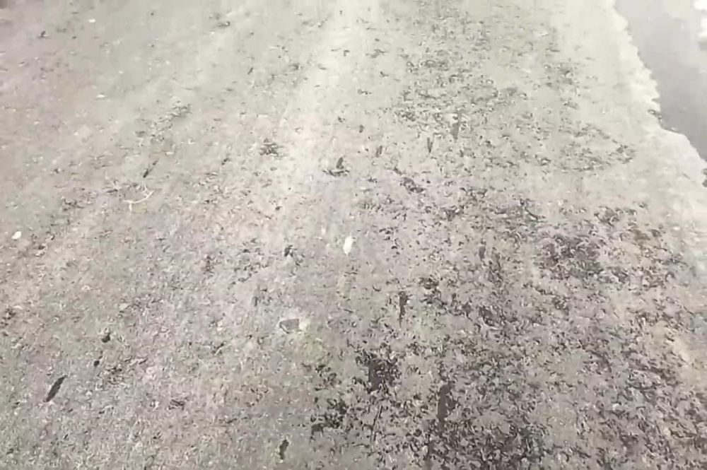 ����� �����: ������� �� ����� ������ � ��� �����������������