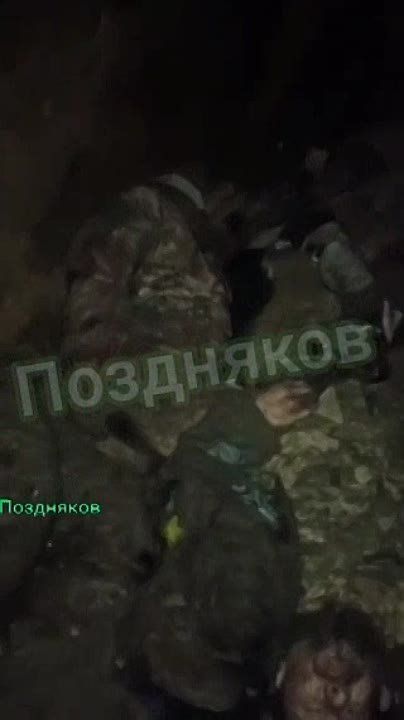 ������ �����: ���� ������ �������� ��� � ������ �������