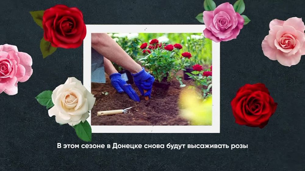 �������� ������ � � ���� ������ ������ ���������� ���������� ������� �� ����, ������� ��������� ������ �������� �����