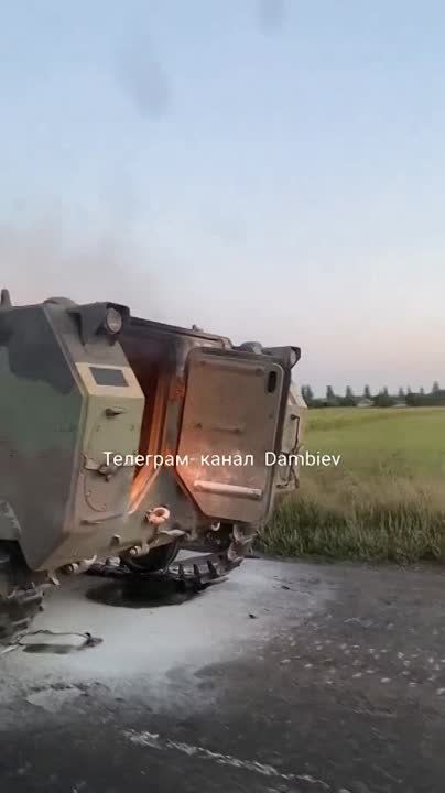 ������ �������: ��� ���� ������������ � ���� ���������� ��� ���������� ���������������� M113 ������������� ������������ (�������� ����� 337), �������� �� ���������� ���������� �����