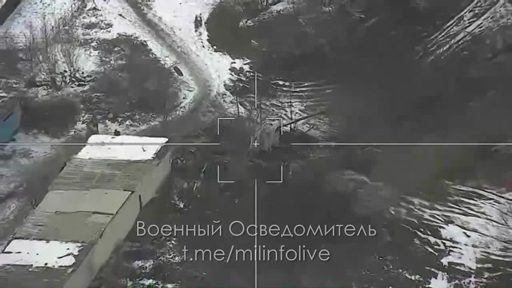 ����� �����: ������ ���������� ��������� ������� ��� �� ���������� �����������
