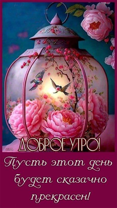 Доброго воскресного утра!