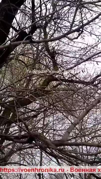 ��-52 � ��-28� �� ��������������� ����������� ����� �� ������� �� ����������� �������������� ����� ���������� �������