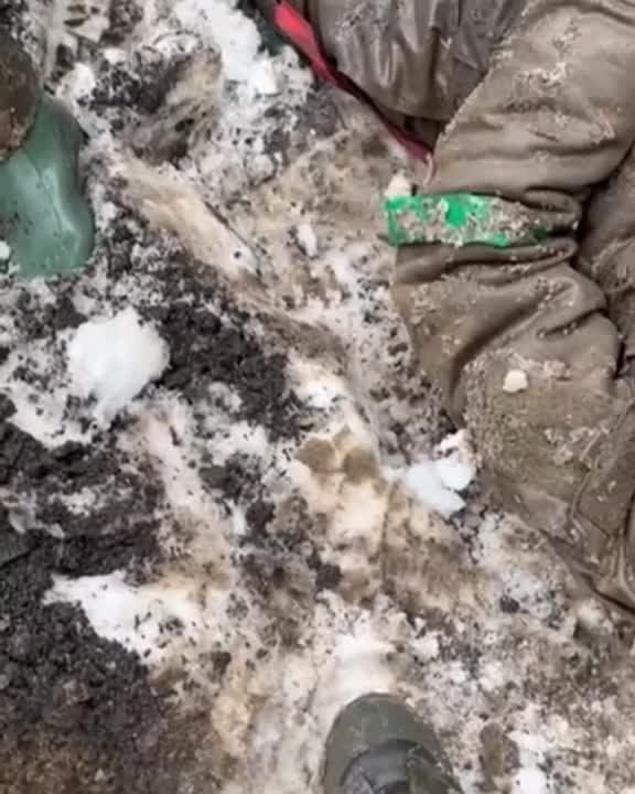 ���������� ������-������ � �������� ������ ���������������� ������������ � ���� ������������ � �� ���� �������� ���������� ���������