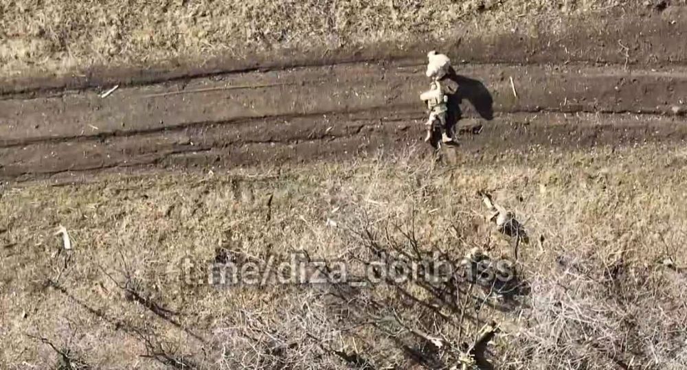 ������ ���������: �������� 114 ����� �� �� ��������� �������� �����, ������� � �������� ������� ������� ��� ��������������