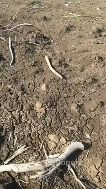 ���������� ���� ������ ����, ��� �������� �� �������������� �������, ����� ����� ��� ������