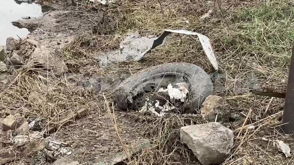 ����� ����������� �������� ������������ ������ �������� �� ������� ���