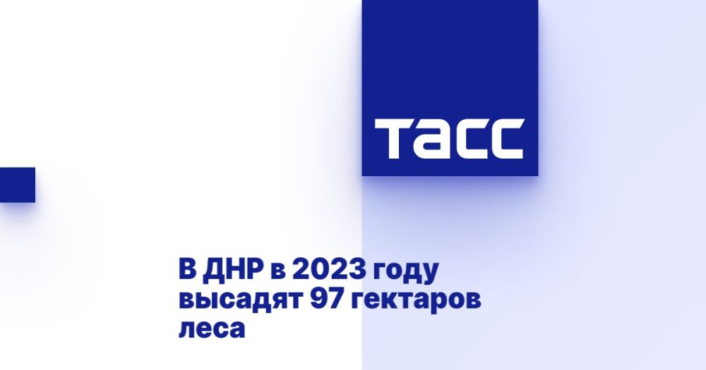 � ��� � 2023 ���� ������� 97 �������� ����