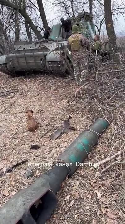 ������ �������: ��� ���� ������������ � ���� ���������� ��� ���������� 152-�� ���������� �������