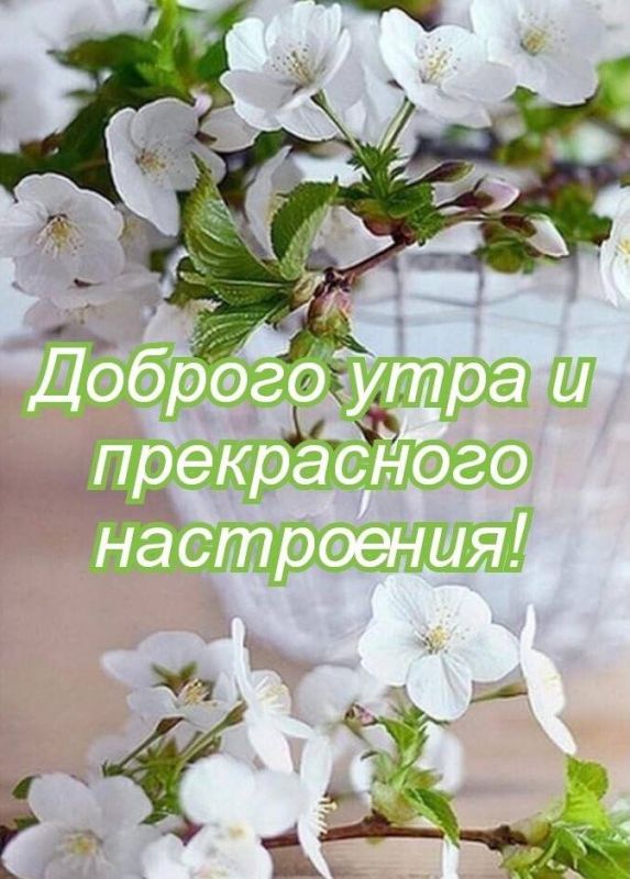 ����� �������: