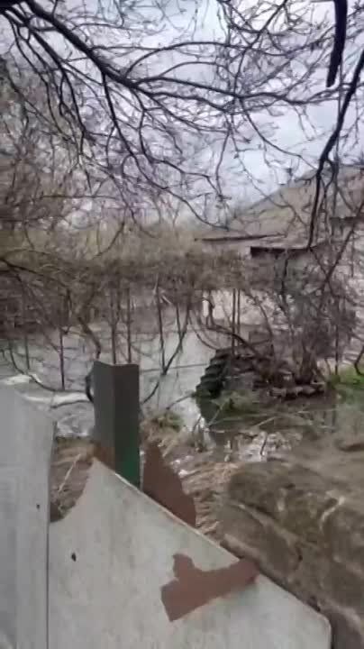 ���� ��������: � ����������� �������� ����� �������������